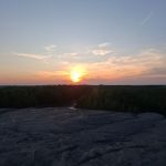 Боровичи