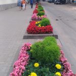 Боровичи: прошлое против настоящего