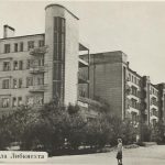 Когда леса только росли…