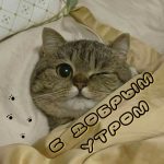 Прогноз погоды на сегодня