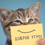Утреннее приветствие!