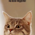 ☀С добрым утром!