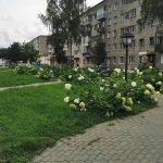 Боровичи — место удивительной красоты.